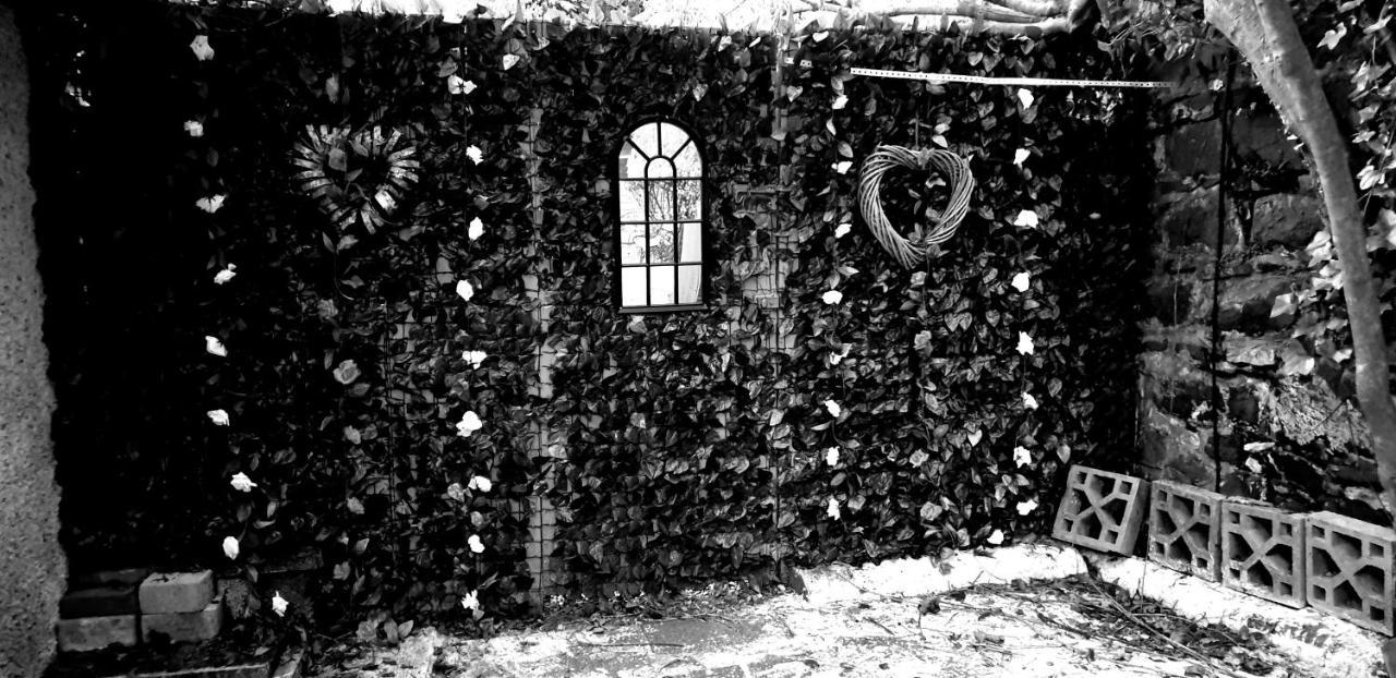 Belfast Cosy Cabin Kültér fotó