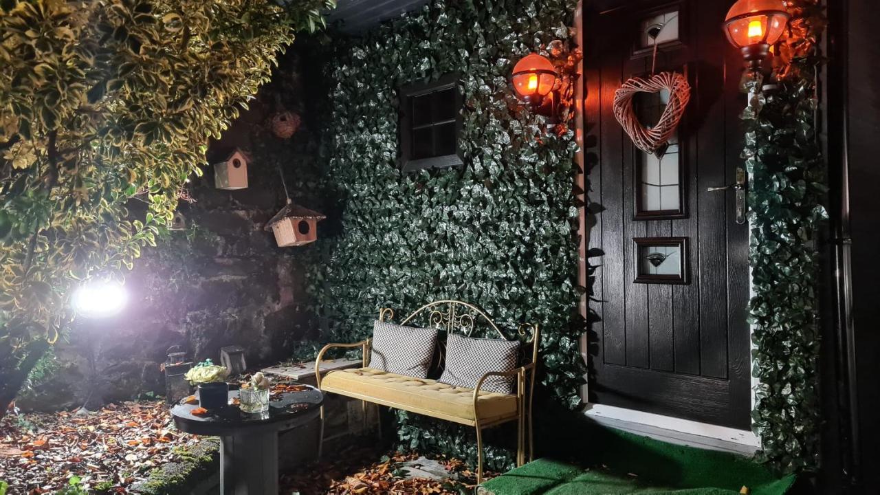 Belfast Cosy Cabin Kültér fotó